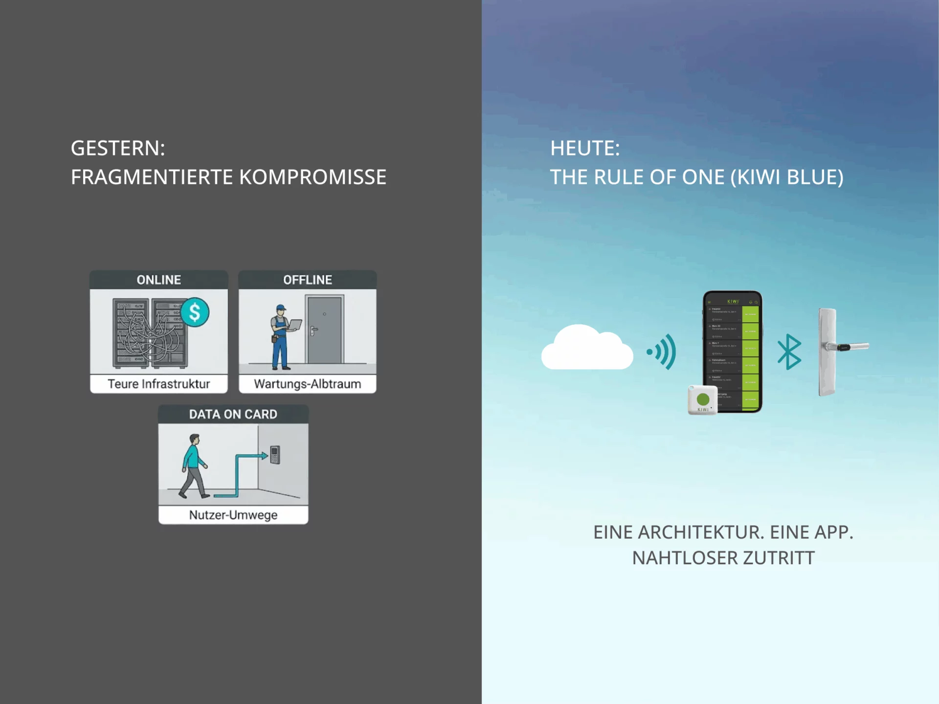 the rule of one KIWI Blue